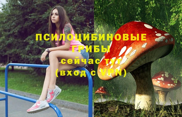 синтетический гашиш Абинск