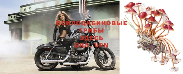 гашик Абаза