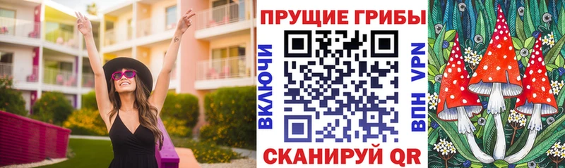 Псилоцибиновые грибы GOLDEN TEACHER  Энгельс 