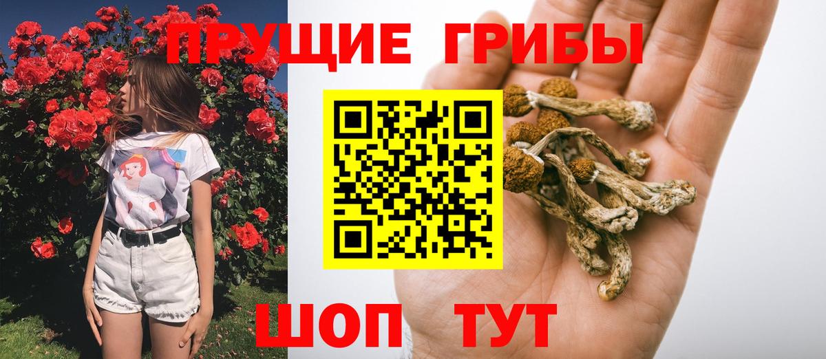 Энгельс  Галлюциногенные грибы мухоморы  Галлюциногенные грибы прущие грибы  Вход с VPN 