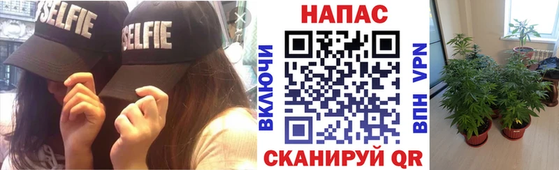 KRAKEN сайт  даркнет телеграм  Канабис конопля  Энгельс 
